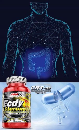 Booster Testosteronu, Libido - ecdysteroidy ECDYSTERON TESTOSTERON TABLETKI na Arena.pl