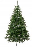 Choinka Wiktoria 1.80 m
