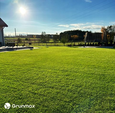 GRUNMAX - Green expert wiosenny nawóz do trawy, trawnika , PREMIUM 20kg na Arena.pl