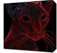 Obraz 40x40cm Cyfrowa Kocica