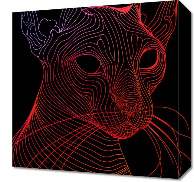 Obraz 40x40cm Cyfrowa Kocica zdjęcie 1