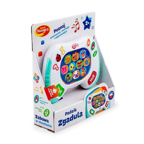 DUMEL DD 55022 Padzik Zgadula na Arena.pl