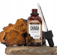 Encann Chaga (Błyskoporek podkorowy) silny POLSKI ekstrakt w kroplach 50 ml
