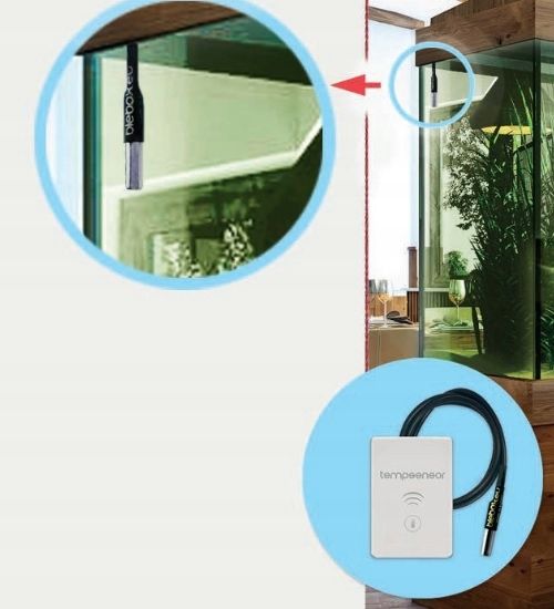 BLEBOX tempsensor - SENSOR TEMPERATURY zdjęcie 2