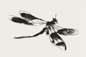 Plakat 91,5x61cm Dragonfly, Édouard Manet Vintage do Salonu