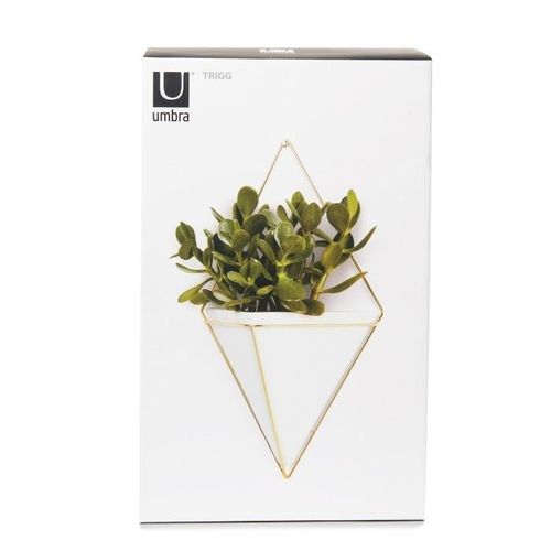 Doniczka ścienna Trigg Brass na Arena.pl