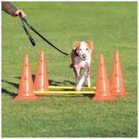 Trixie TOR przeszkód dla psa zestaw 2 części zabawka treningowa