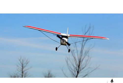 Super Cub SAFE Bind & Fly na Arena.pl
