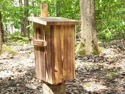Budka dla wiewiórki Domek opalany na Arena.pl