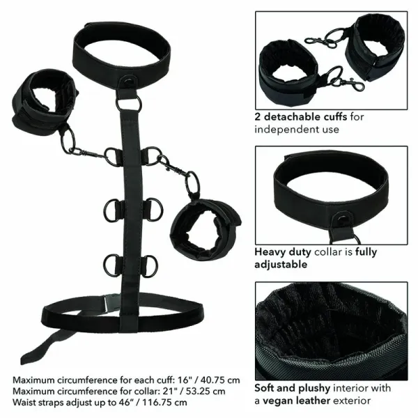 calexotics boundless collar - system z kołnierzem i mankietami zdjęcie 6