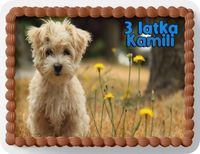 PROSTOKĄTNY OPŁATEK NA TORT A4 20x29CM - PIESEK PIES PSY + IMIĘ