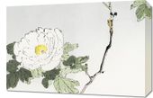 Obraz 60x40cm  Blossomed Flower, Seitei Japoński Vintage