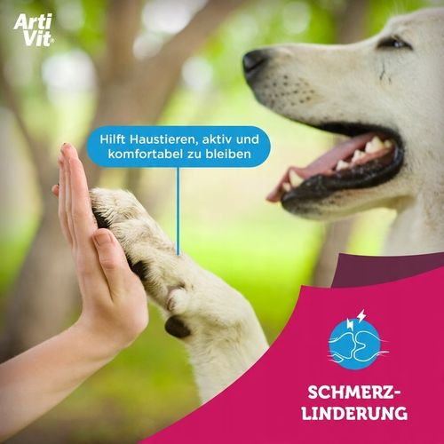 VITAR Veterinae Syrop ArtiVit na Arena.pl