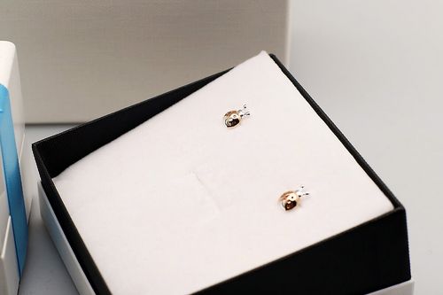 srebrne kolczyki sss6166 na Arena.pl