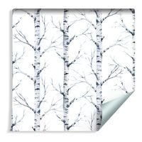 Tapeta Piękne Brzozy