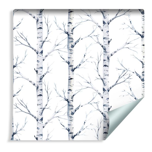 Tapeta Piękne Brzozy zdjęcie 1