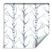 Tapeta Piękne Brzozy