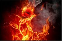 product-compare-58694028