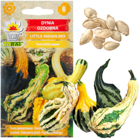DYNIA OZDOBNA LITTLE INDIAN MIX 2G NASIONA MIX KOLORÓW I KSZTAŁTÓW DYNI
