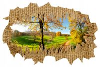 Naklejka samoprzylepna dziura 3D sielski widok HIT