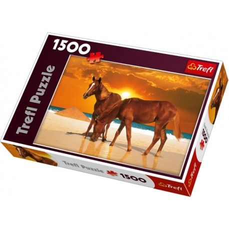 TREFL 26093 RUMAKI NA PLAZY 1500 el zdjęcie 1
