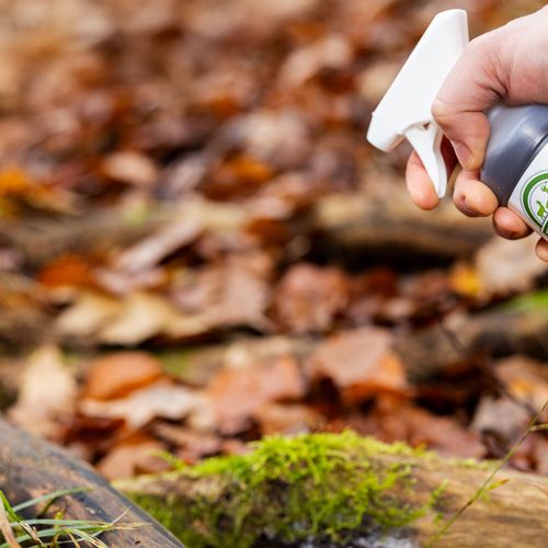 Wabik na jelenie Jabłko 500ml na Arena.pl