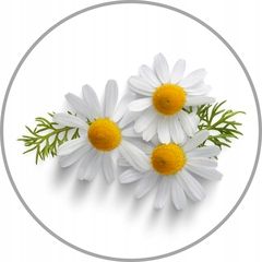 Maska przeciw wypadaniu do włosów blond niefarbowanych WAX Blonda na Arena.pl