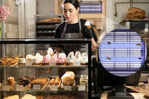 LAMPA OWADOBÓJCZA UV ŚCIENNA NO PEST NA KOMARY MUCHY ĆMY MOLE OWADY na Arena.pl