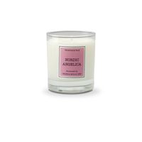 Świeca zapachowa CERERIA MOLLA Santiago Nordic Angelica 230 g