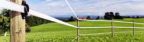 TAŚMA DO OGRODZEŃ ELEKT.POMARAŃCZ 10MM 200M BASIC na Arena.pl