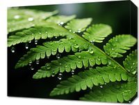 Obraz 50x40cm Szepty Natury