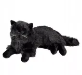 PLUSZAK MASKOTKA KOT PERSKI LEŻĄCY 36 CM PLUSZOWY KOTEK