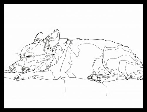 Plakat 40x30cm Śpiący Psiak na Arena.pl