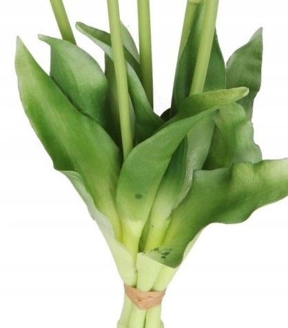 TULIPANY BUKIET TULIPANÓW GUMOWANE GUMOWE SILIKONOWE JAK ŻYWE na Arena.pl