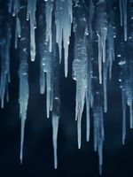 product-compare-59356965