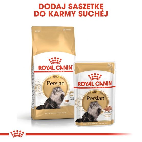 Karma sucha dla kotów perskich powyżej 12 miesiąca życia - Royal Canin 400g zdjęcie 5