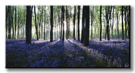 Playing the Blues - Obraz na płótnie 100x50 cm na Arena.pl