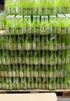 Oranżada FANTAZJA Kiwi 330ml - paleta