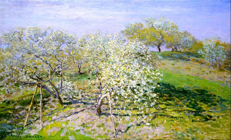 Apple trees in bloom, Claude Monet - plakat 50x40 cm zdjęcie 1