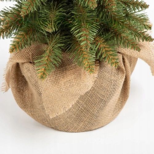 Choinki Marzeń CHOINKA SLIM ŚWIERK TATRZAŃSKI *PREMIUM* 100cm + GRATIS na Arena.pl