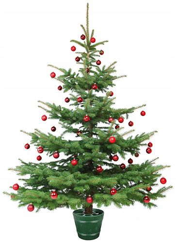 Stojak choinkowy Planet 2 | Brązowy na Arena.pl