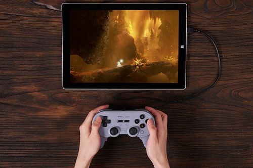 Kontroler 8BITDO Pro 2 Wired Gamepad Szary na Arena.pl
