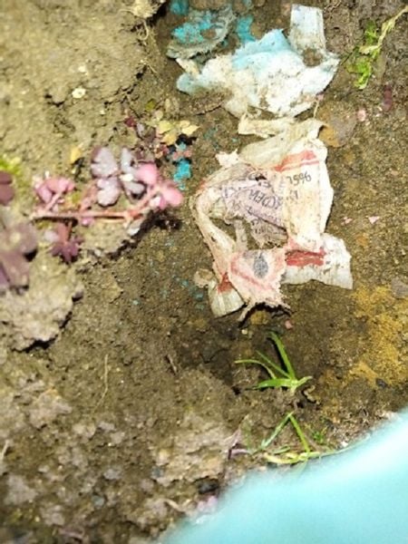 Rewelacyjna trutka na krety, nornice 20 szt + rabat zdjęcie 5