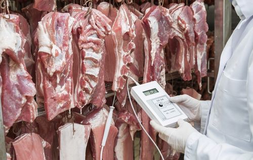 Termometr DT34 od producenta do żywności HACCP na Arena.pl