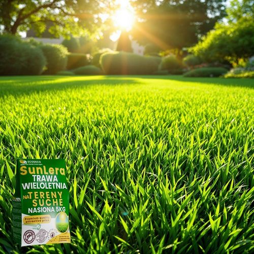 Trawa Nasiona Uniwersalna 5kg na Tereny Suche Trawnik 200m2 Mieszanka Traw na Arena.pl