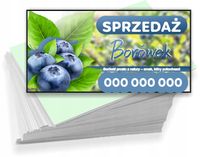 Wizytówki firmowe Foliowane 1000szt wiele wzorów sprzedaż borówek