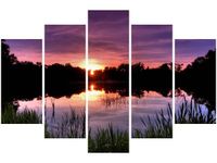 product-compare-58695173