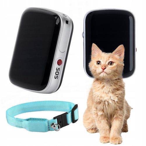Bezpieczne Zwierzę LOKALIZATOR GPS DLA PSA KOTA APLIKACJA 1 miesiąc na Arena.pl
