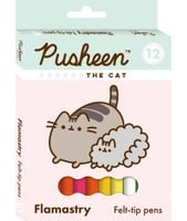 flamastry 12 kol pusheen a'10 7986
