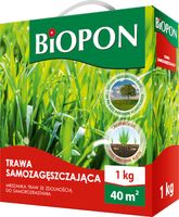 trawa samozagęszczająca 1 kg - br bio-1843